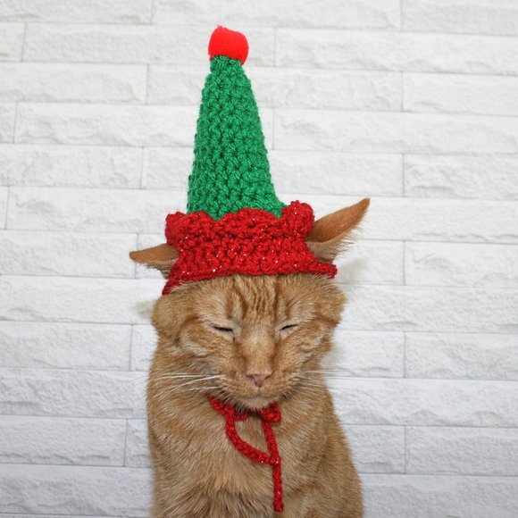 HAND CRAFTED Crochet Elf Cat Hat Costume Photo Prop Green Christmas Holiday - Picture 3 of 11